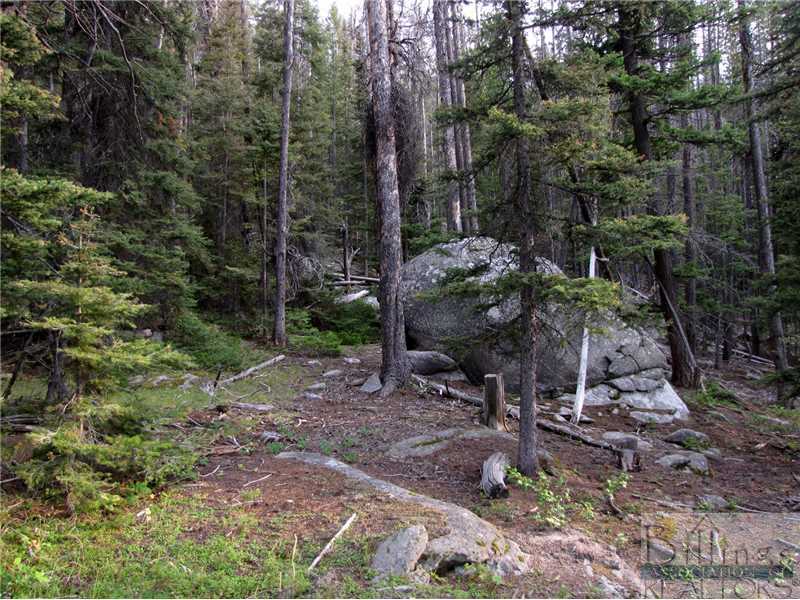 1311 Boulder Chief Road Basin, MT 59631 - Photo 1 of 1 Land/Lot.
