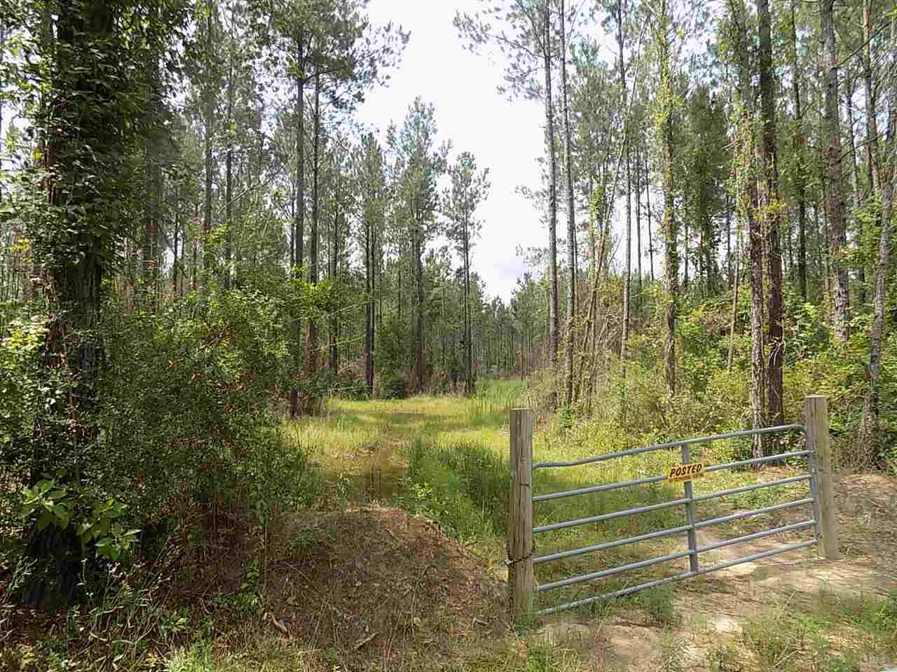 Lot 3 Springhill Road Milton, FL 32570 - Photo 2 of 8 Gallery Image 2
