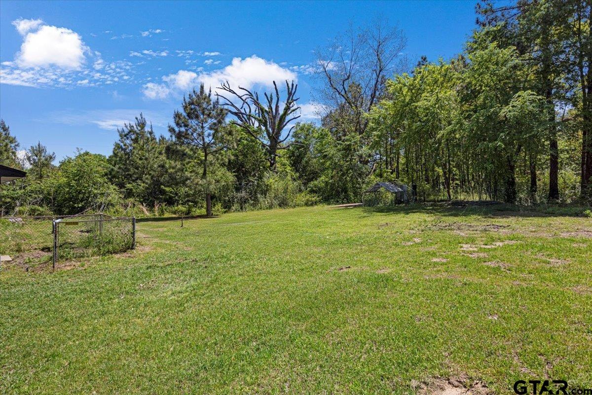 10638 County Road 384 Tyler, TX 75708 - Photo 24 of 33 a backyard of a house with lots of green space