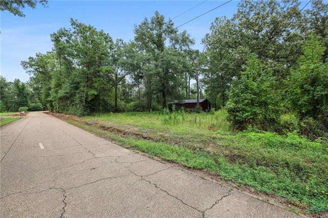 64192 Russell Town Road Roseland, LA 70456 - Photo 4 of 7 Gallery Image 4