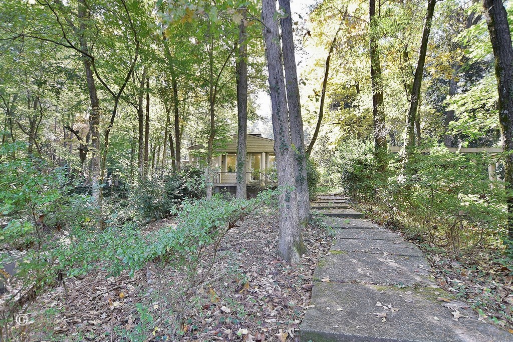 5656 Hamilton Road Pine Mountain, GA 31822 - Photo 49 of 86 Gallery Image 49
