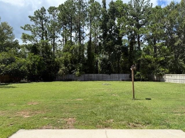 3028 Charing Cross Brunswick, GA 31525 - Photo 20 of 21 backyard-fully fenced