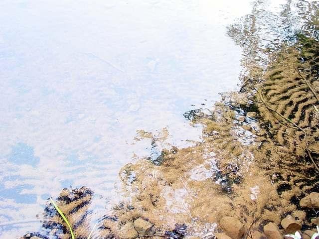 23-24 Trails End Road Manitowish Waters, WI 54545 - Photo 5 of 10 Gallery Image 5