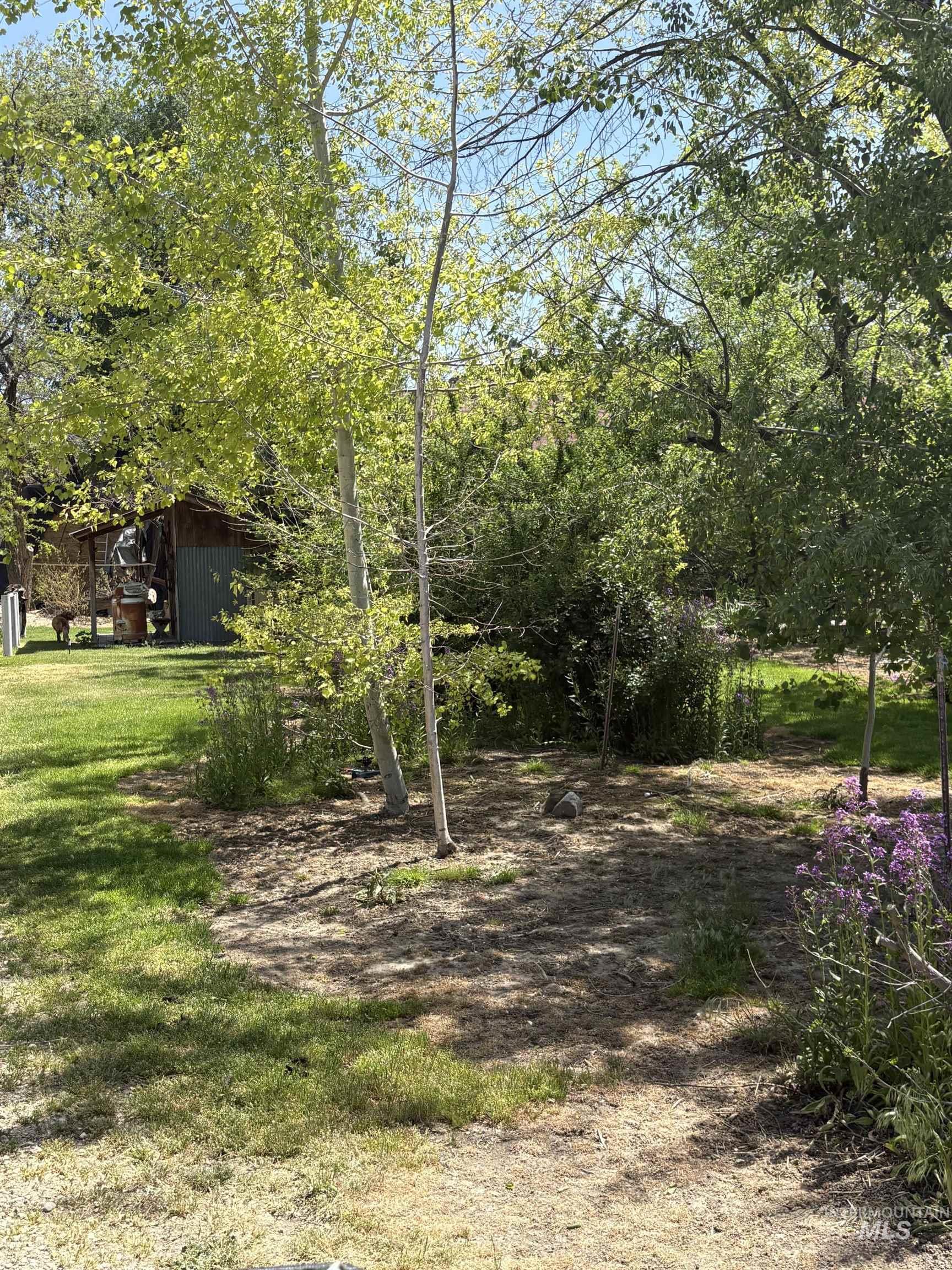 8241 Butte Road Melba, ID 83641 - Photo 20 of 40