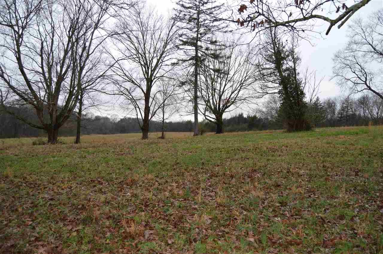 8501 Dry Valley Road Loudon, TN 37774 - Photo 9 of 37 a view of a field with tree s