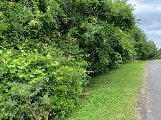 a view of a lush green forest