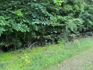 a view of a lush green forest