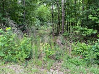 0 Frank Bullock Road Manson, NC 27553 - Photo 5 of 5 IMG_7428