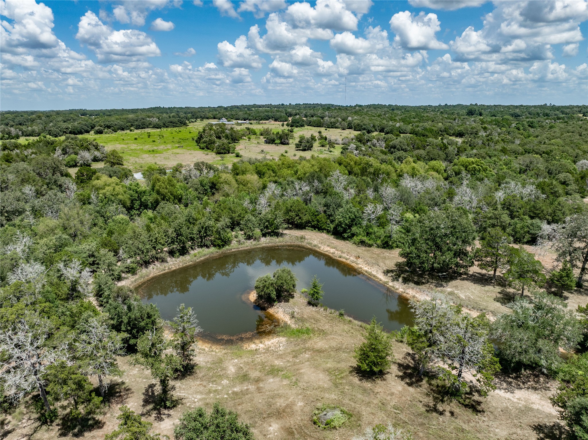 1126 Abel Road New Ulm, TX 78950 - Photo 12 of 31 Gallery Image 12