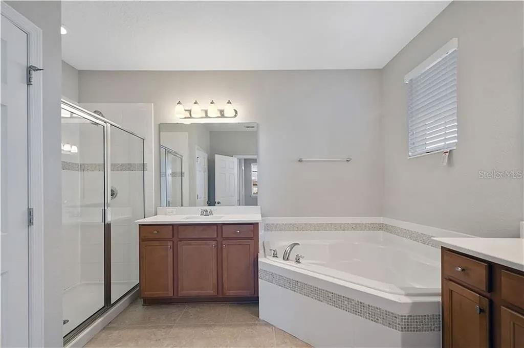 8752 Powder Ridge Trail Windermere, FL 34786 - Photo 23 of 31 a spacious bathroom with a tub sink and mirror