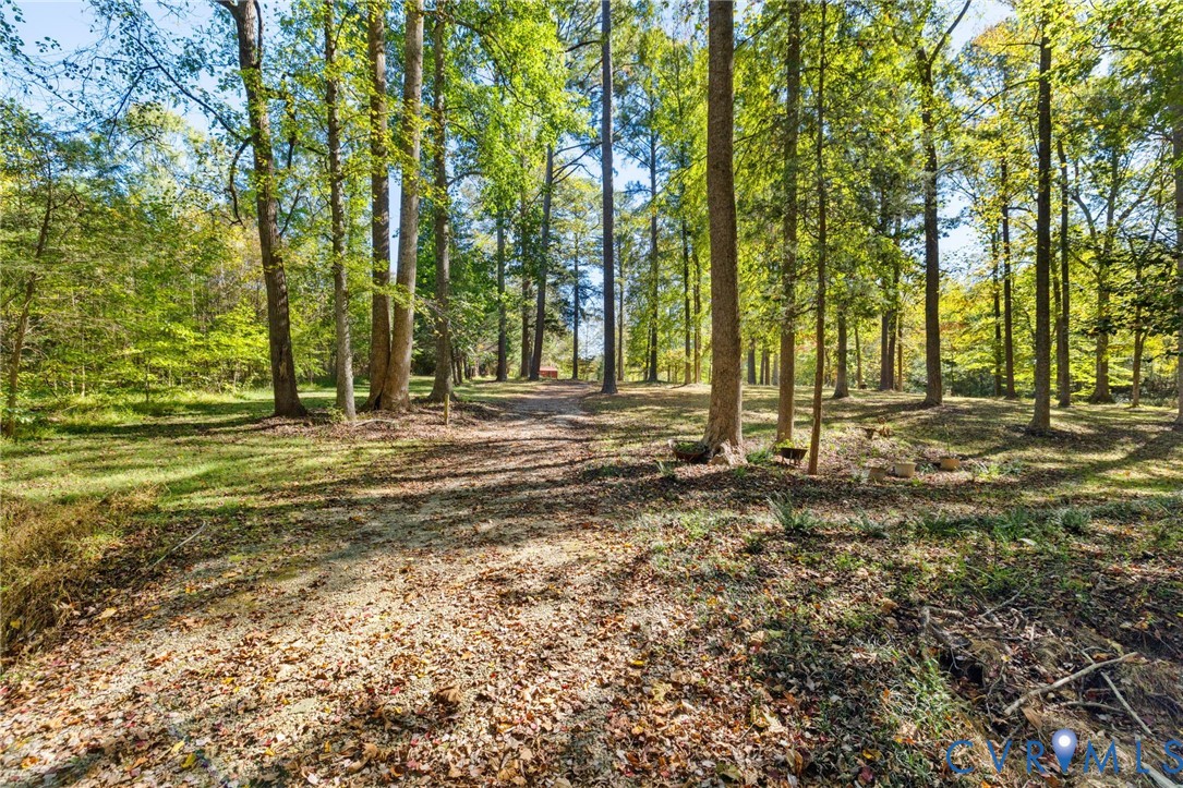 104 Petersburg Road Powhatan, VA 23139 - Photo 40 of 45 a backyard of a house with lots of green space