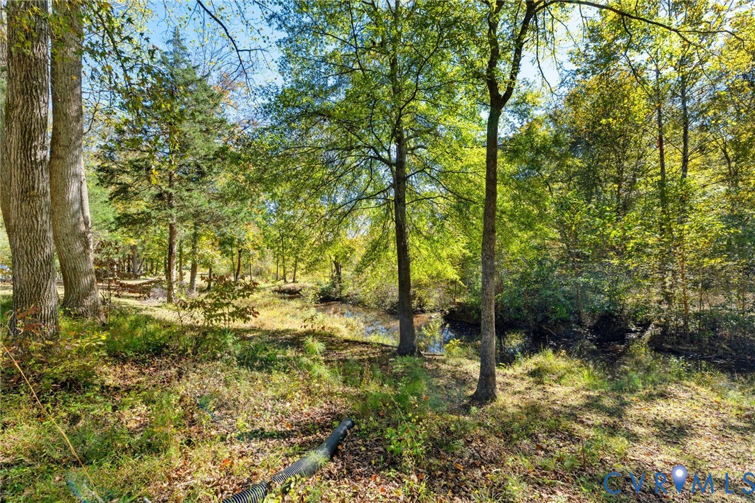 104 Petersburg Road Powhatan, VA 23139 - Photo 43 of 45 a backyard of a house with lots of green space