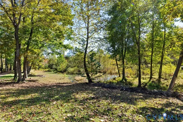 a view of dirt yard with a large tree