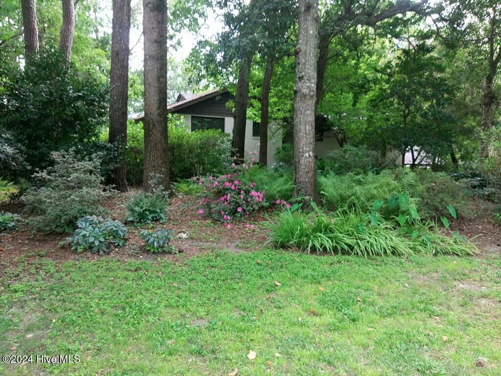 248 Ravenswood Road Hampstead, NC 28443 - Photo 56 of 71 Front yard