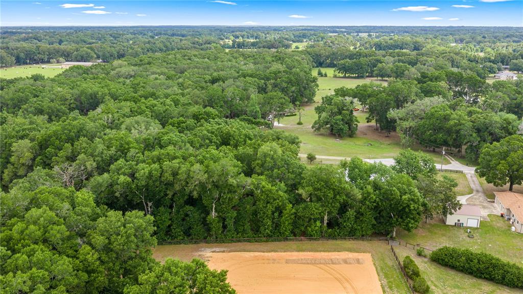 2250 Southeast 157th Lane Road Summerfield, FL 34491 - Photo 41 of 42