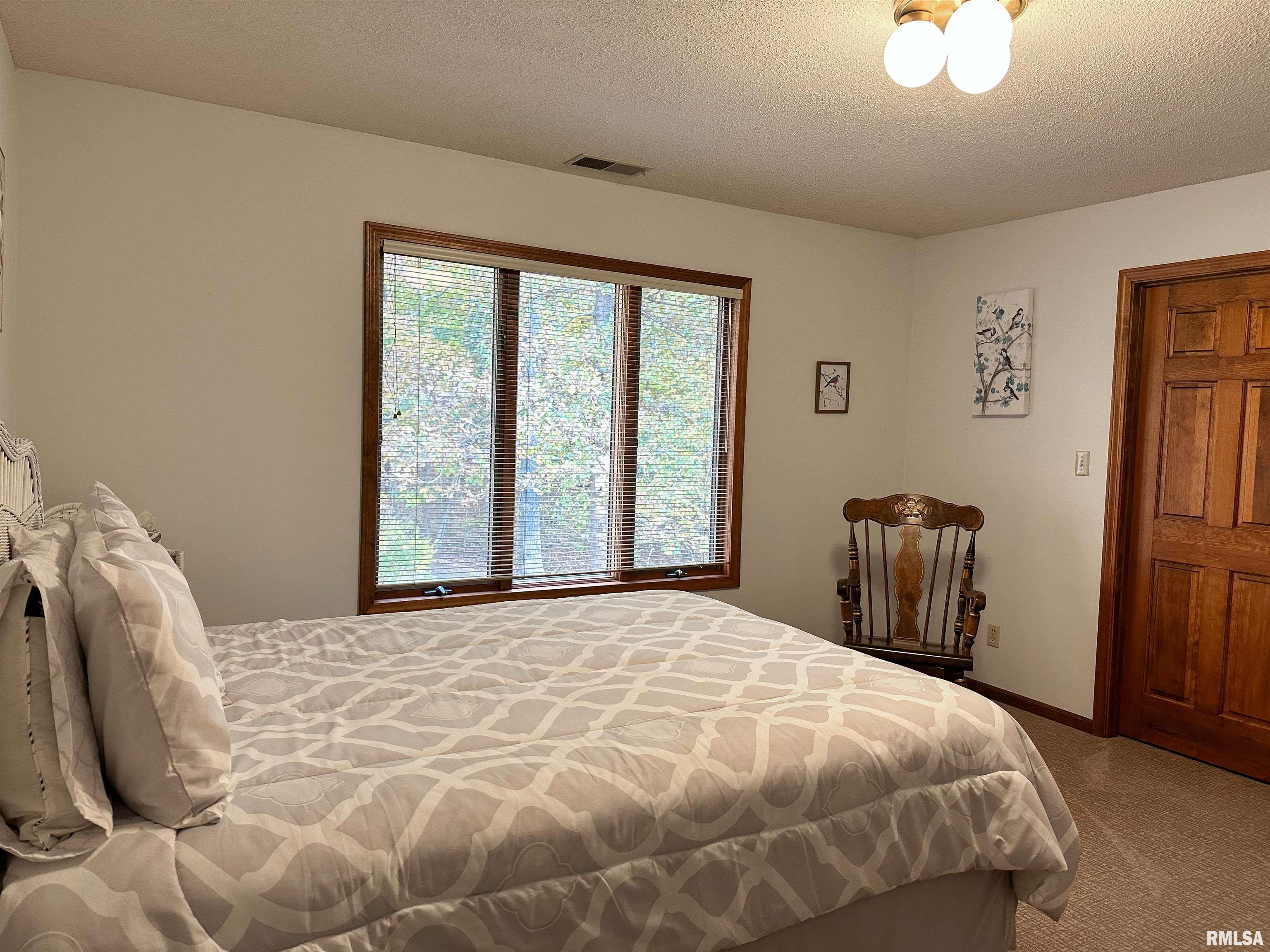 2185 Lick Creek Road Anna, IL 62906 - Photo 25 of 42 Gallery Image 25