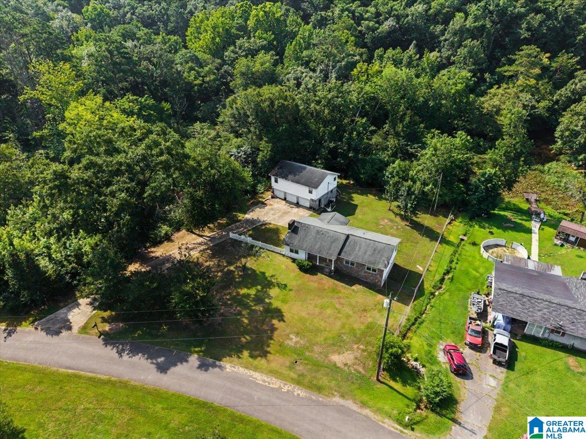 449 Rainwood Lodge Road Quinton, AL 35130 - Photo 31 of 53