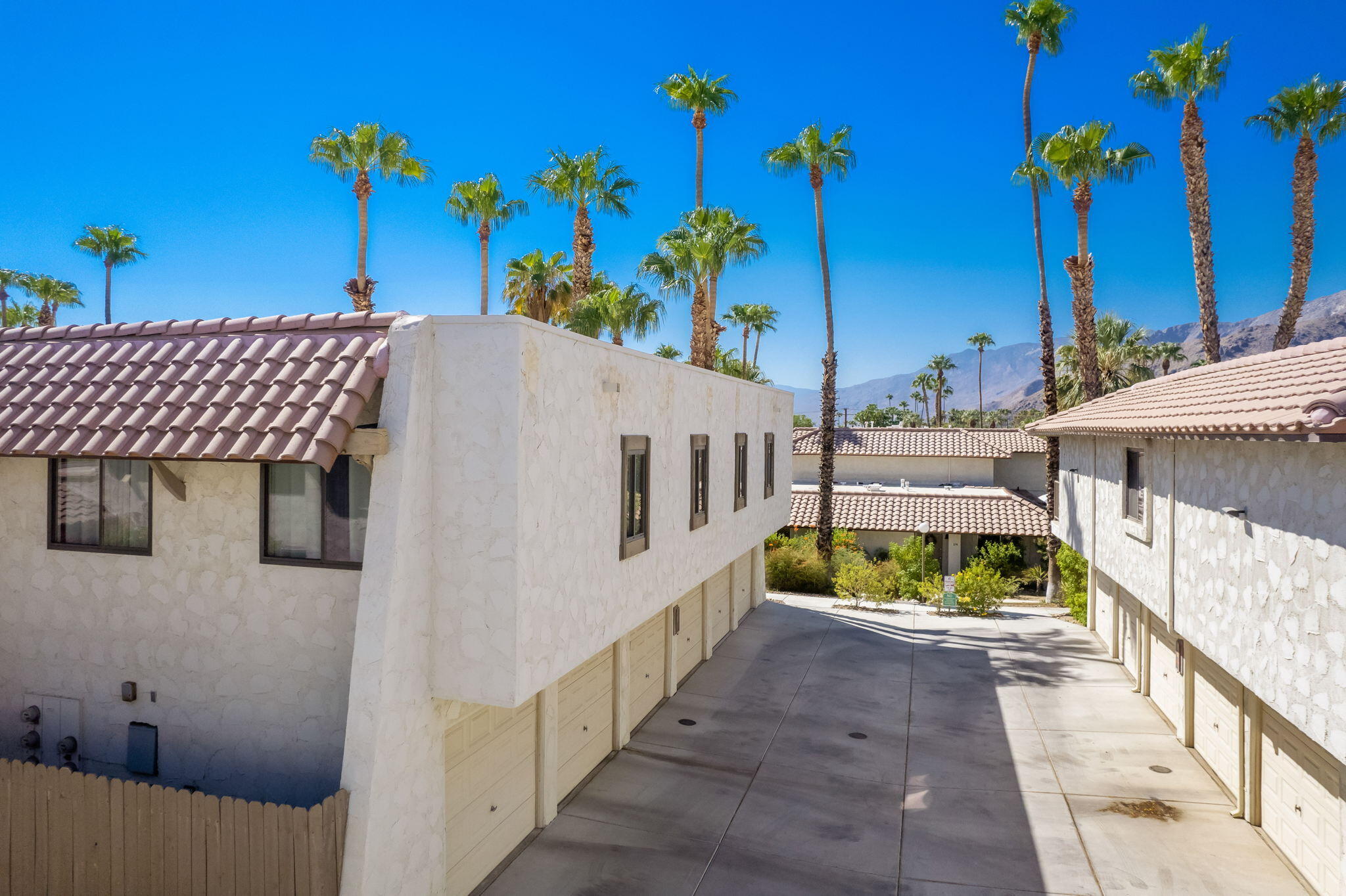 349 West Mariscal Road Palm Springs, CA 92262 - Photo 3 of 34 a view of a house with a yard and potted plants