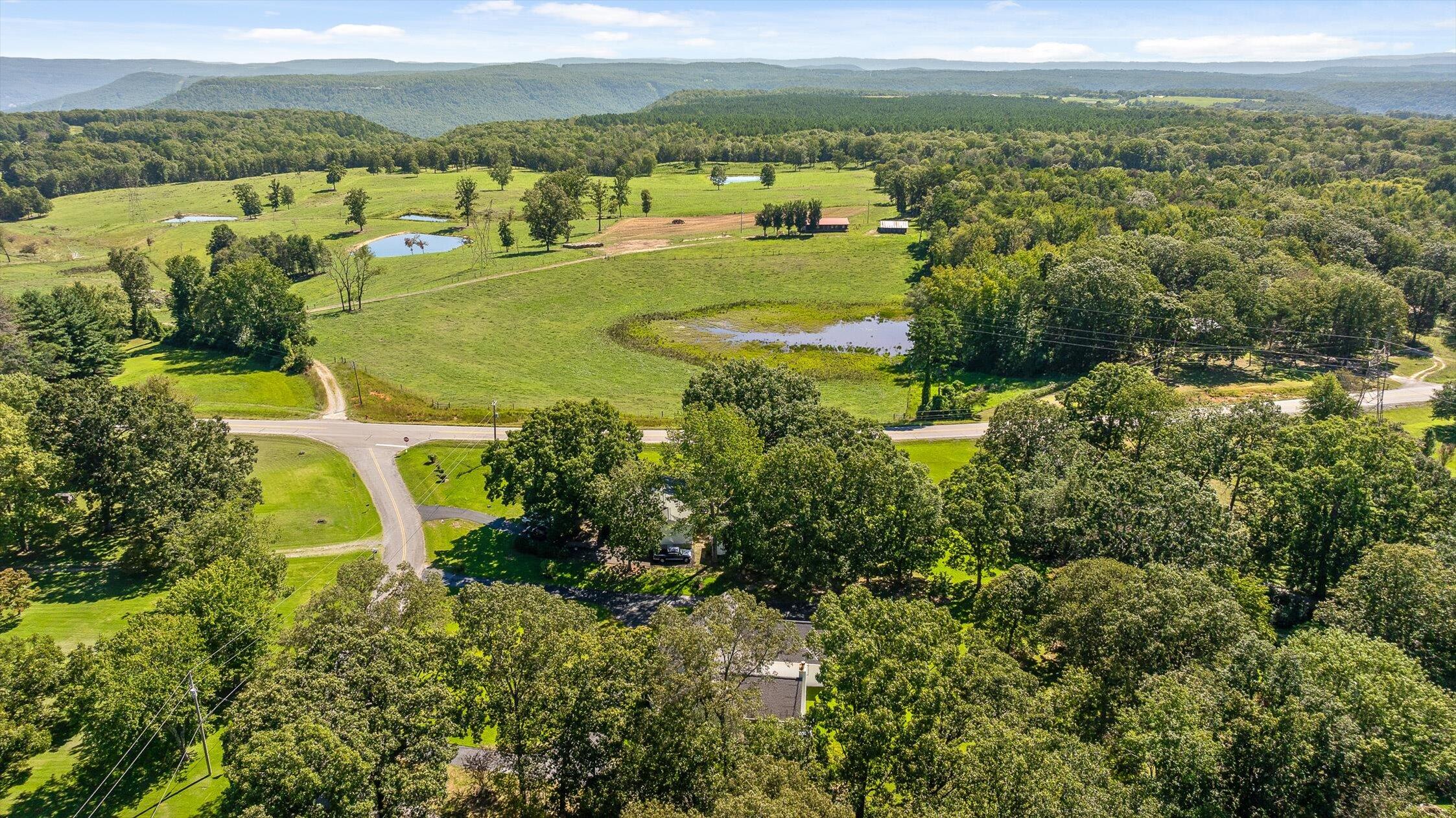 2526 County Road 194 Bryant, AL 35958 - Photo 62 of 67 62-Co Rd-7