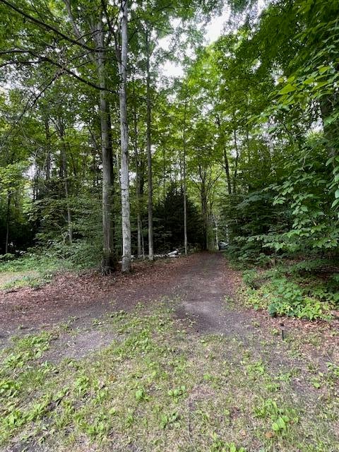 1675 West Kittle Road Mio, MI 48647 - Photo 20 of 34 Gallery Image 20