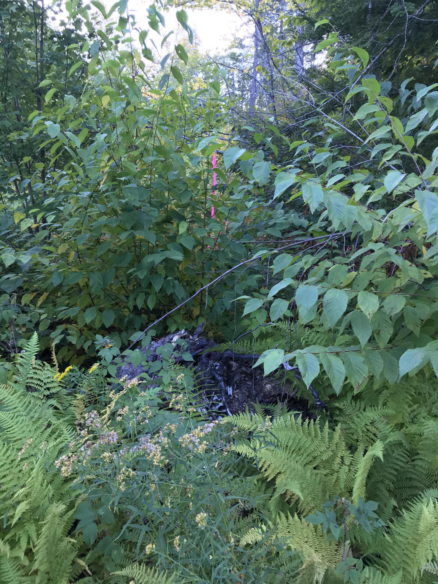 23-11 Ward Road Sebago, ME 04029 - Photo 2 of 5 29F8C938-22E0-4133-83E4-AA03EA722382