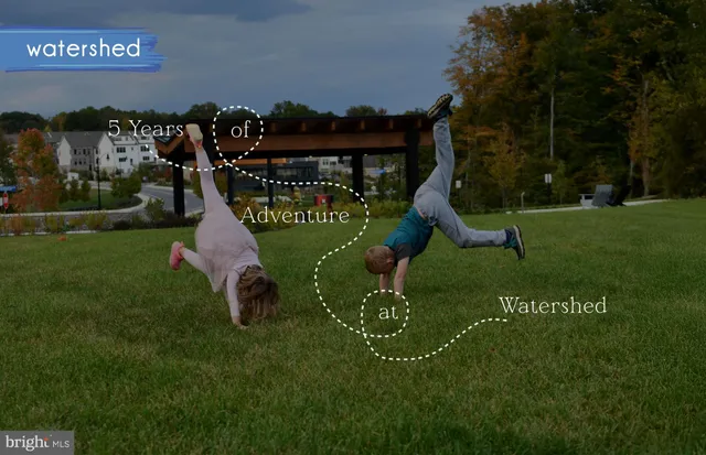 a black and white photo of a park with large trees