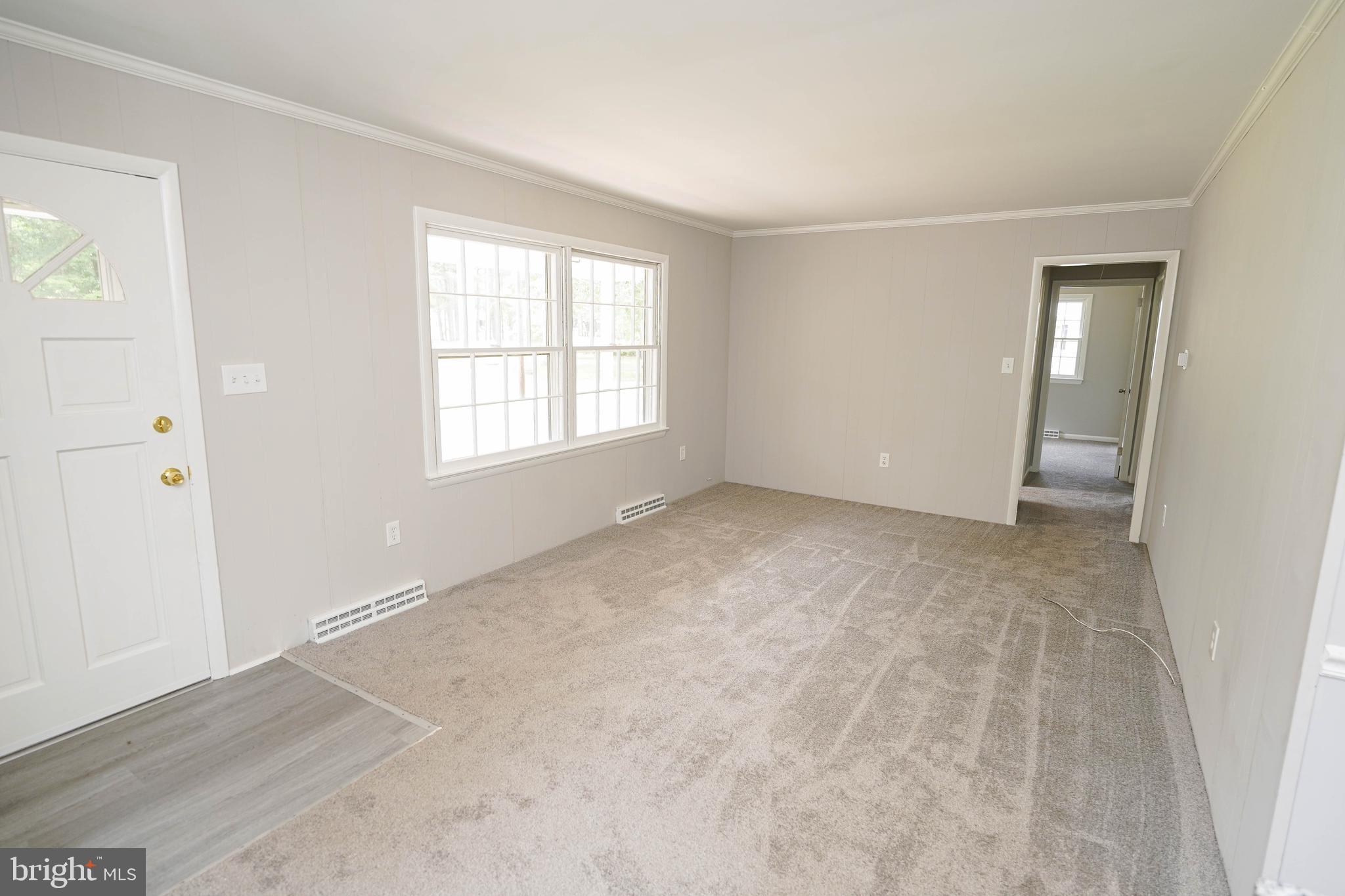 6499 Morris Road Pittsville, MD 21850 - Photo 4 of 29