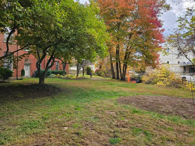 a view of a tree in front of a house