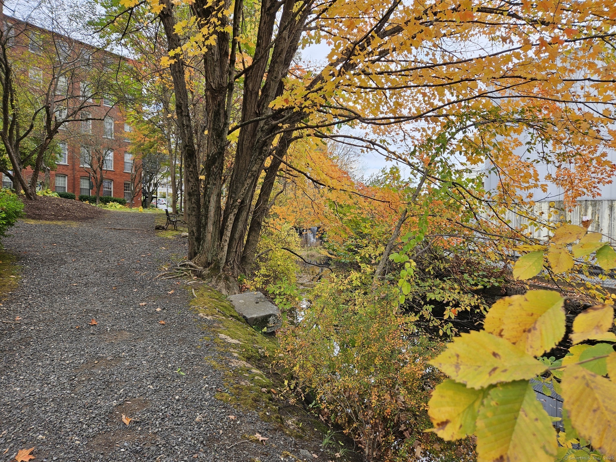 92 Main Street, Unit 101 Deep River, CT 06417 - Photo 15 of 16 a view of a yard with plants and trees