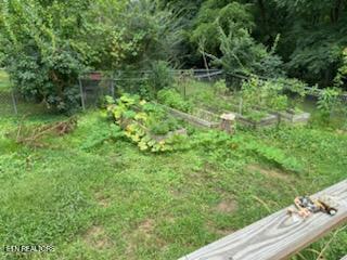 458 Slaven Lane Oneida, TN 37841 - Photo 48 of 51 Garden
