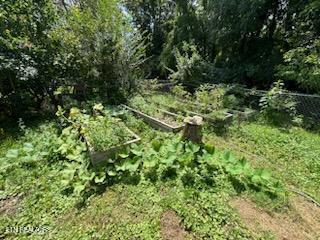 458 Slaven Lane Oneida, TN 37841 - Photo 49 of 51 Garden