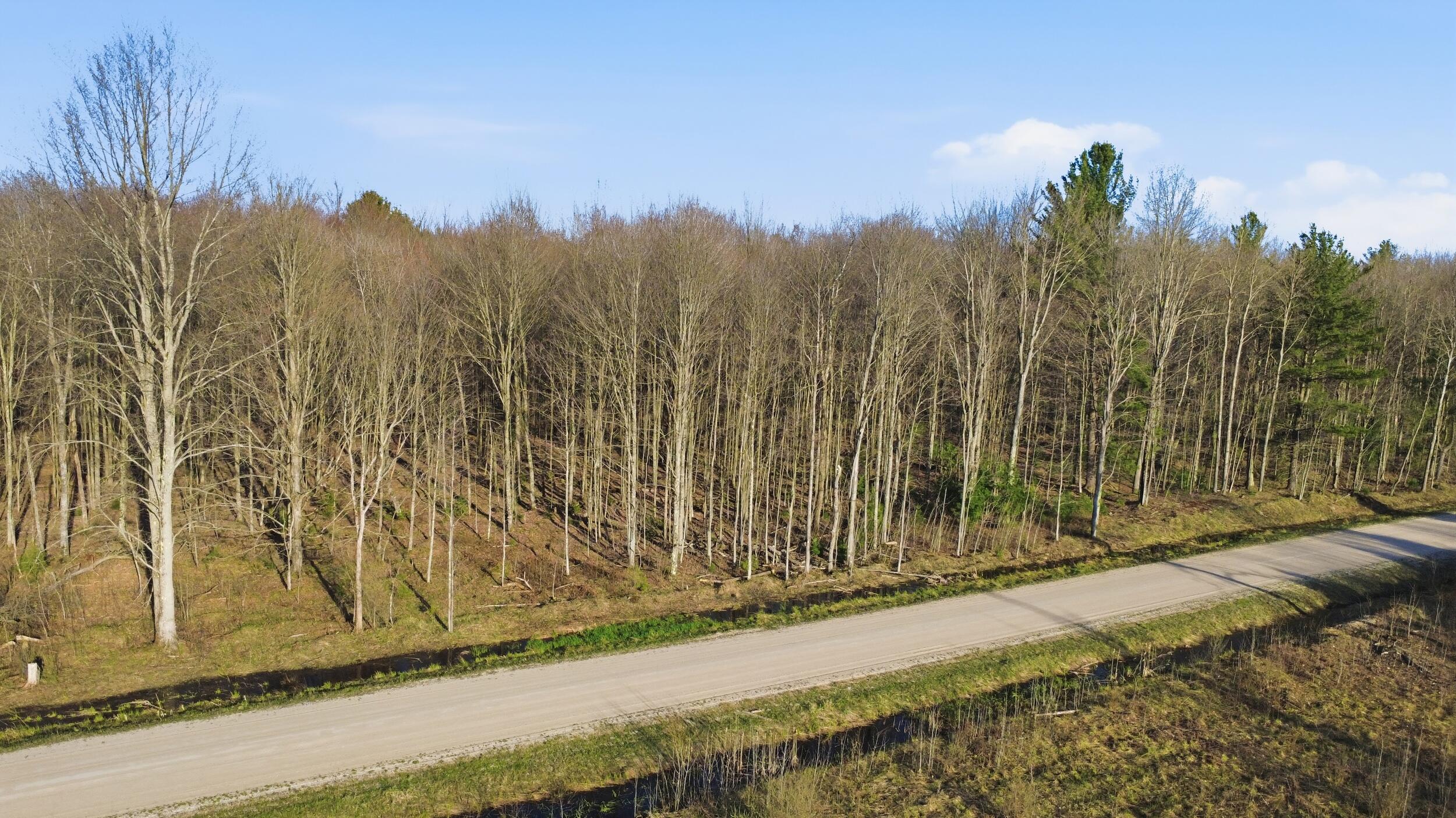 123 East Beyer Road Free Soil, MI 49411 - Photo 17 of 18 23_20