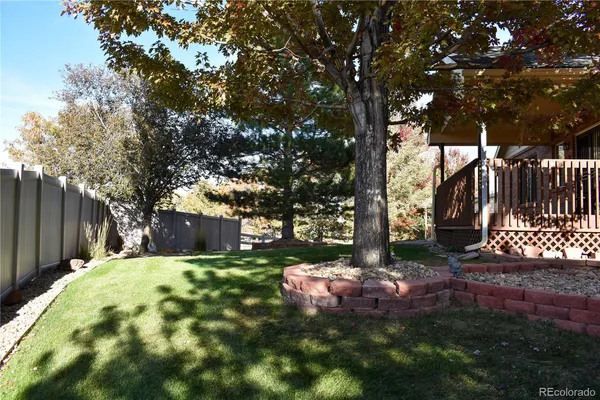 a view of a backyard with tree s