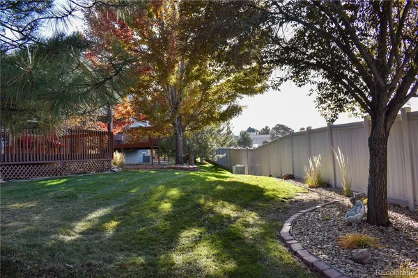 a view of backyard with tree