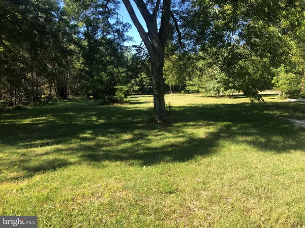 a view of yard with trees