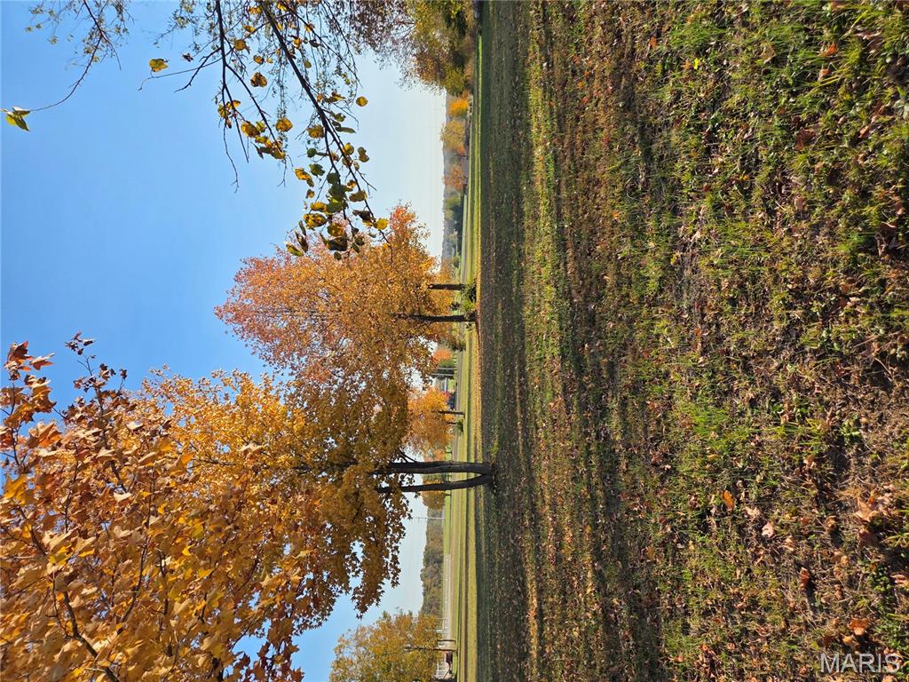 11975 Highway 154 Sparta, IL 62286 - Photo 35 of 36