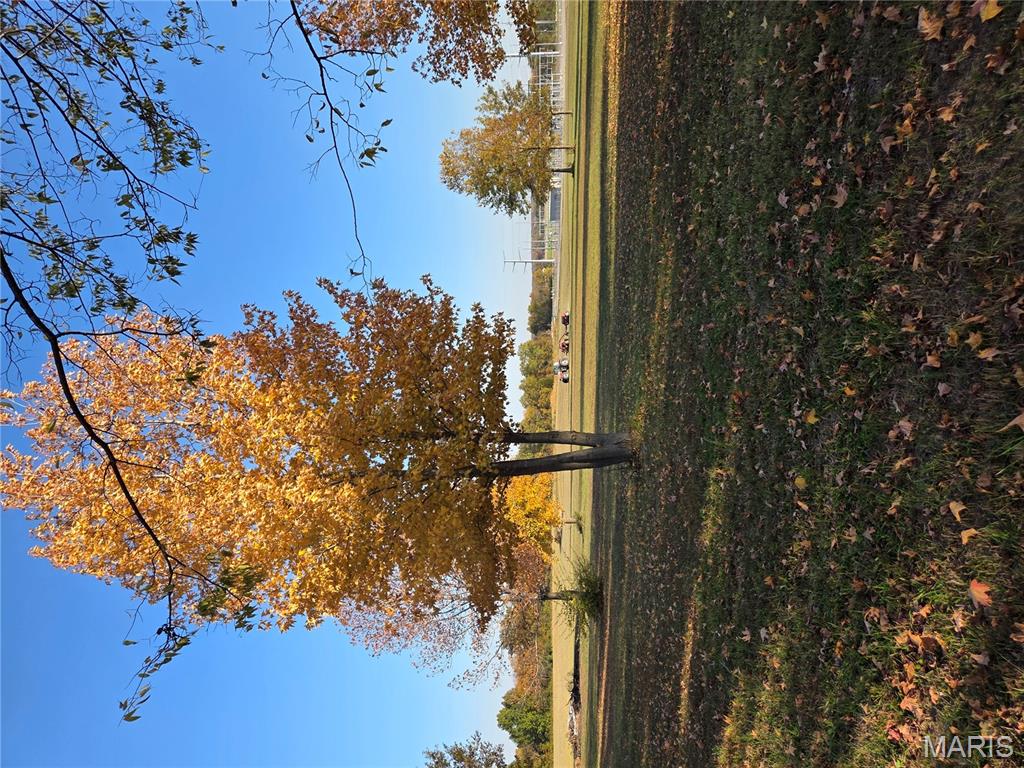 11975 Highway 154 Sparta, IL 62286 - Photo 36 of 36