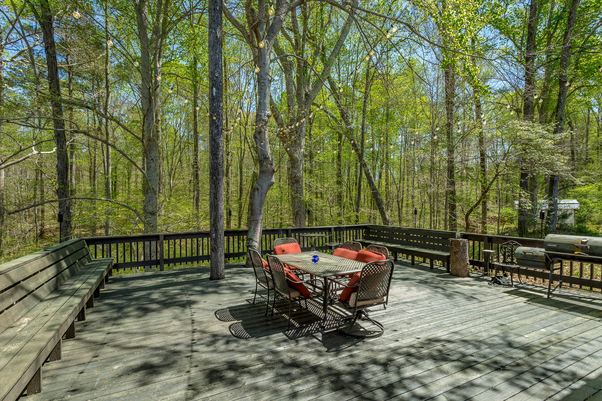 851 Hankins Road Rock Spring, GA 30739 - Photo 46 of 64 Deck