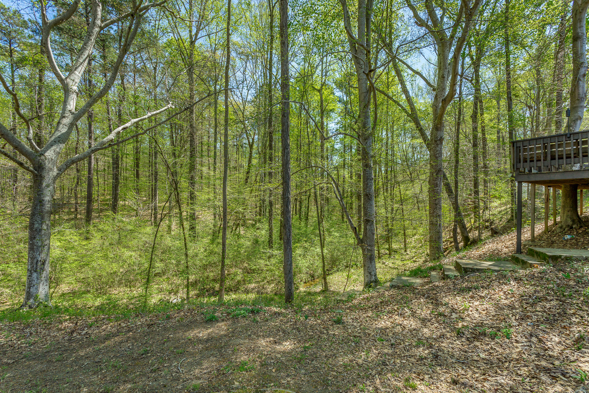 851 Hankins Road Rock Spring, GA 30739 - Photo 49 of 64 851 Hankins Road