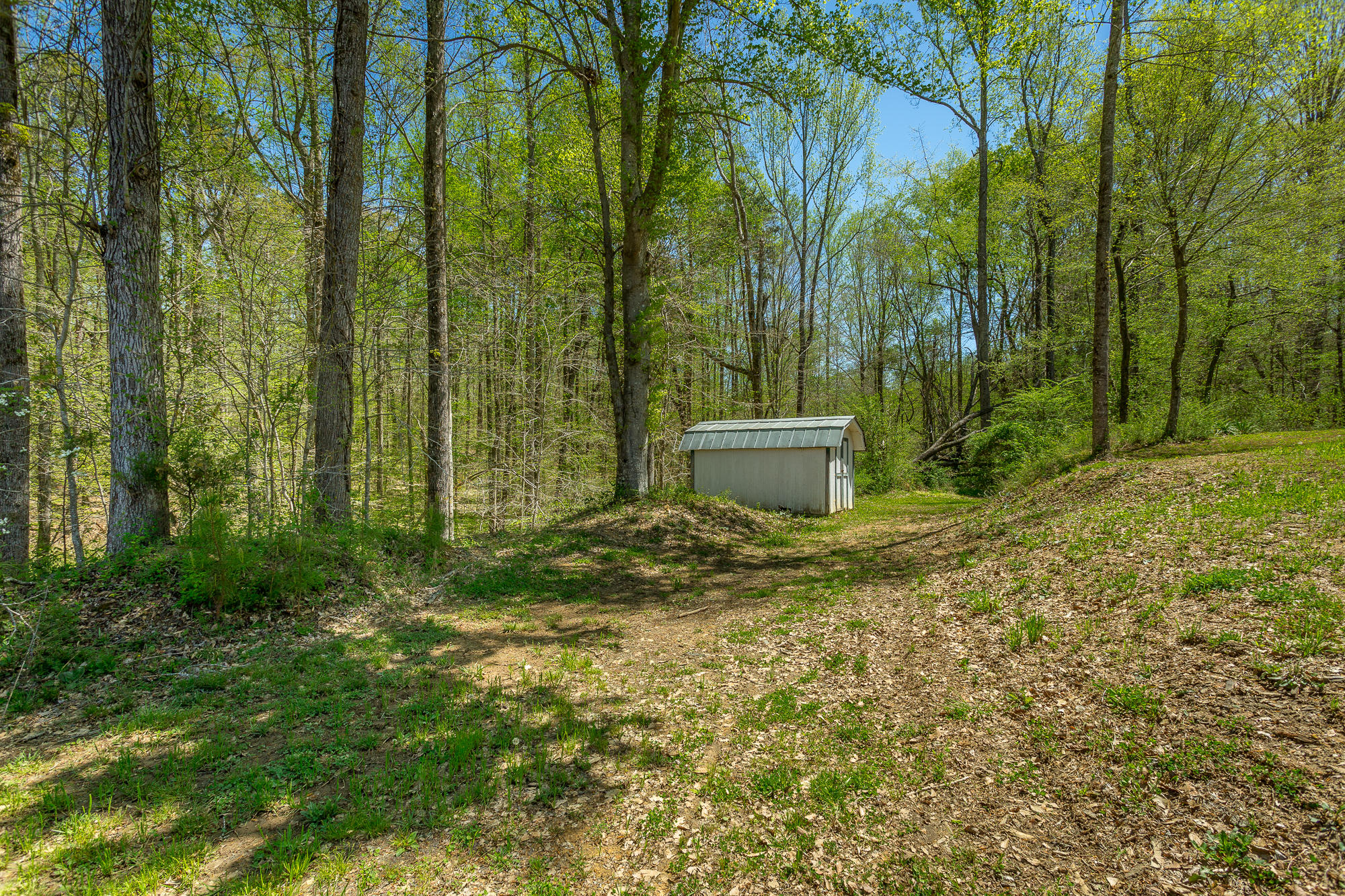 851 Hankins Road Rock Spring, GA 30739 - Photo 51 of 64 851 Hankins Road