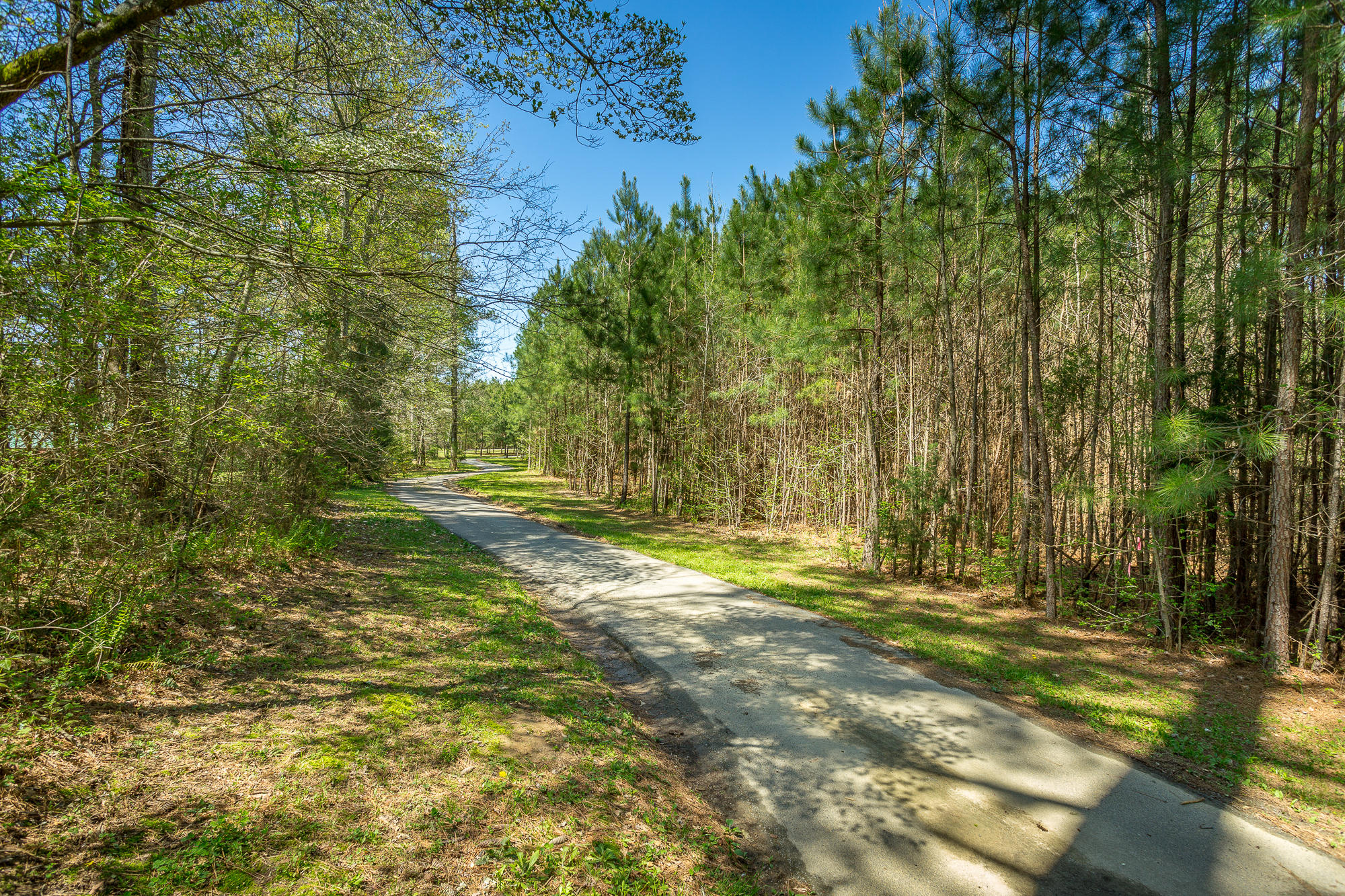 851 Hankins Road Rock Spring, GA 30739 - Photo 57 of 64 851 Hankins Road