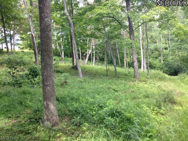 56369 Pfeffer Road Quaker City, OH 43773 - Photo 2 of 3 Gallery Image 2