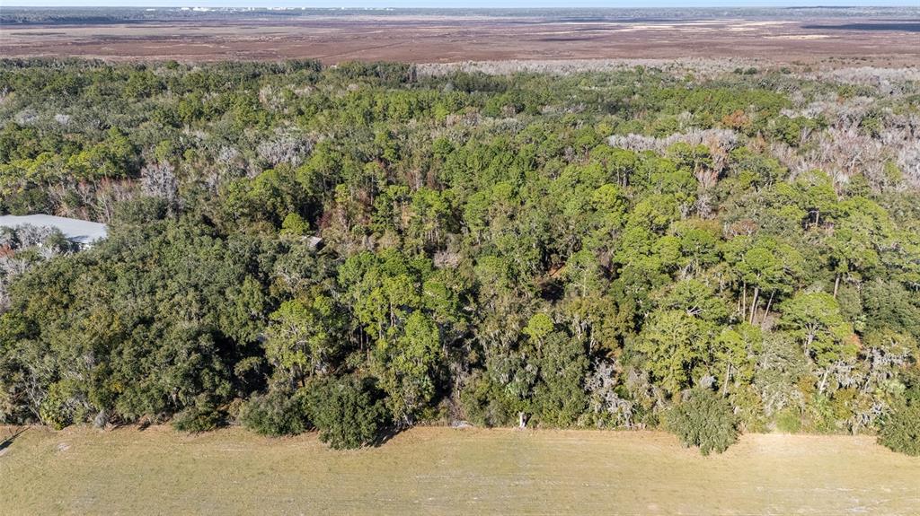 102 Southwest 109 Place Micanopy, FL 32667 - Photo 2 of 14 a view of a large yard with a large window and wooden floor