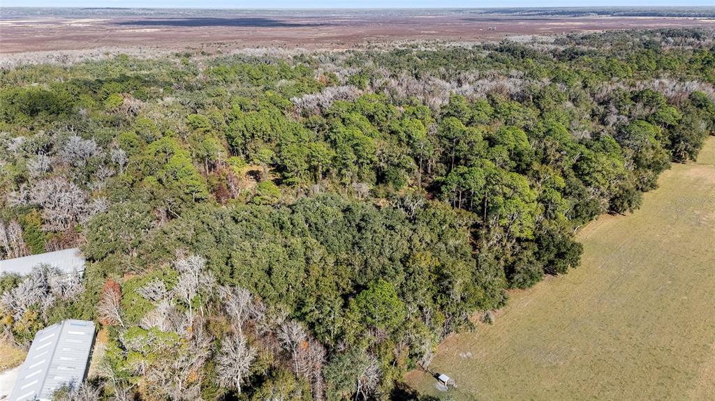 102 Southwest 109 Place Micanopy, FL 32667 - Photo 3 of 14 a view of a field with a mountain in the background
