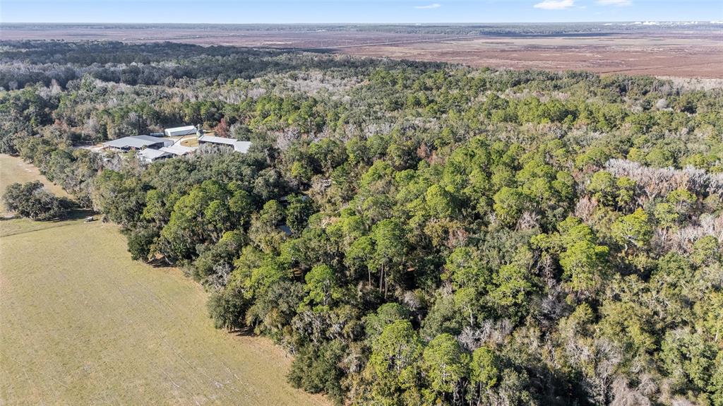 102 Southwest 109 Place Micanopy, FL 32667 - Photo 4 of 14 a view of a lake with a mountain