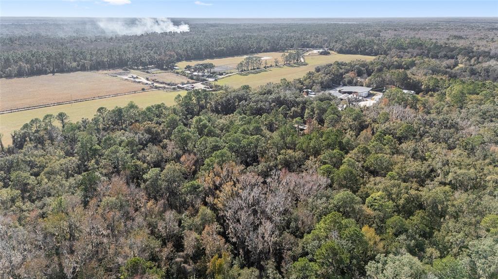 102 Southwest 109 Place Micanopy, FL 32667 - Photo 6 of 14 a view of a dry yard