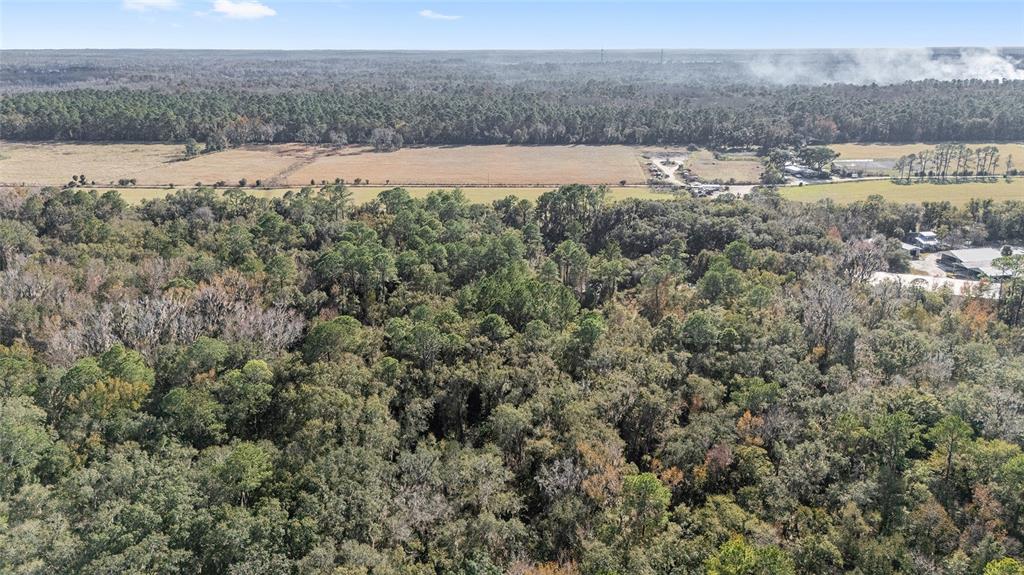 102 Southwest 109 Place Micanopy, FL 32667 - Photo 7 of 14 a view of an outdoor space
