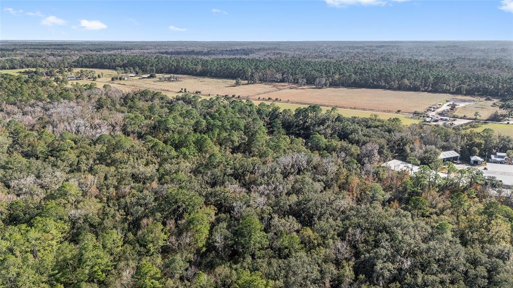 102 Southwest 109 Place Micanopy, FL 32667 - Photo 8 of 14 an aerial view of residential houses with outdoor space and trees
