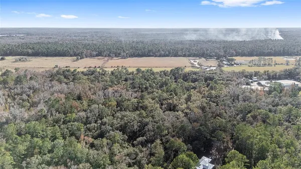 a view of lot of trees in a field