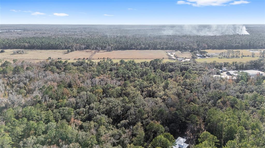 102 Southwest 109 Place Micanopy, FL 32667 - Photo 9 of 14 a view of lot of trees in a field